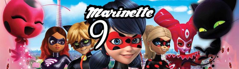 10 Etichette adesive Miraculous bottiglie Acqua personalizza festa