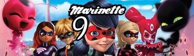 10 Etichette adesive Miraculous bottiglie Acqua personalizza festa
