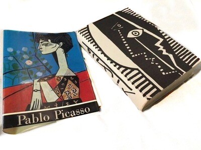 1955 Picasso Art Book 1st Ed Boeck Sarbartes Abrams NY