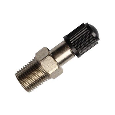 Pump Part | AIR VALVE 1/8&quot; MNPT