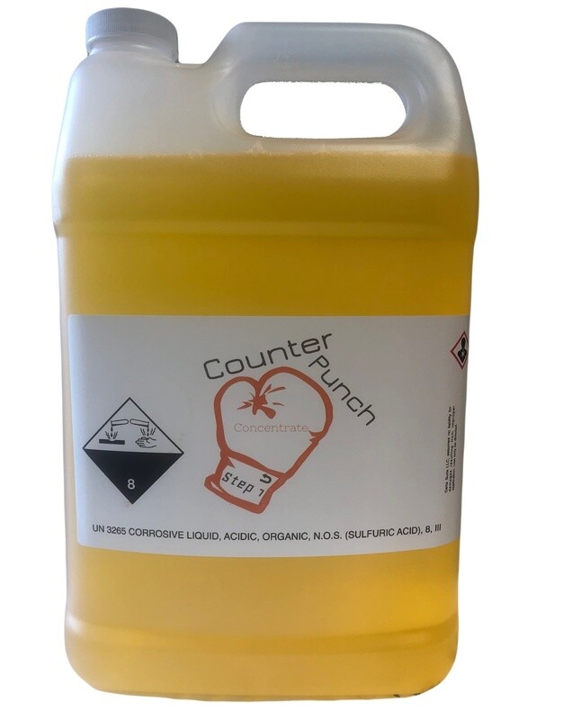 #1 Counter Punch | 