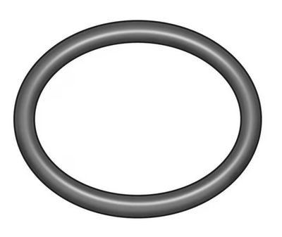 AR | [2] O-Ring  022.22x2.62 (Viton) {Manifold}