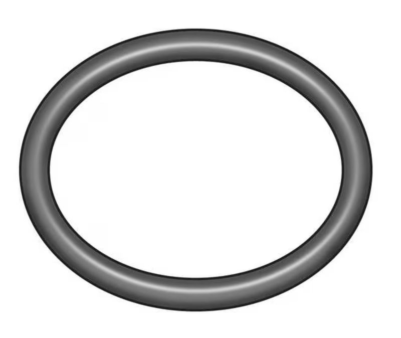 AR | [2] O-Ring  022.22x2.62 (Viton) {Manifold}