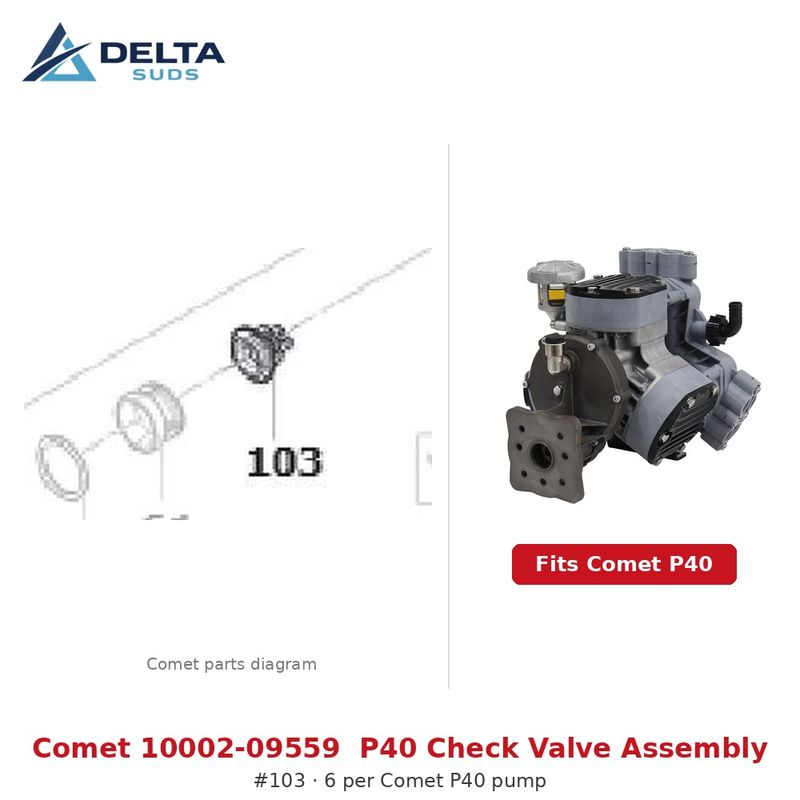 Comet P40 | [103] Check Valve Assembly (10002-09559)
