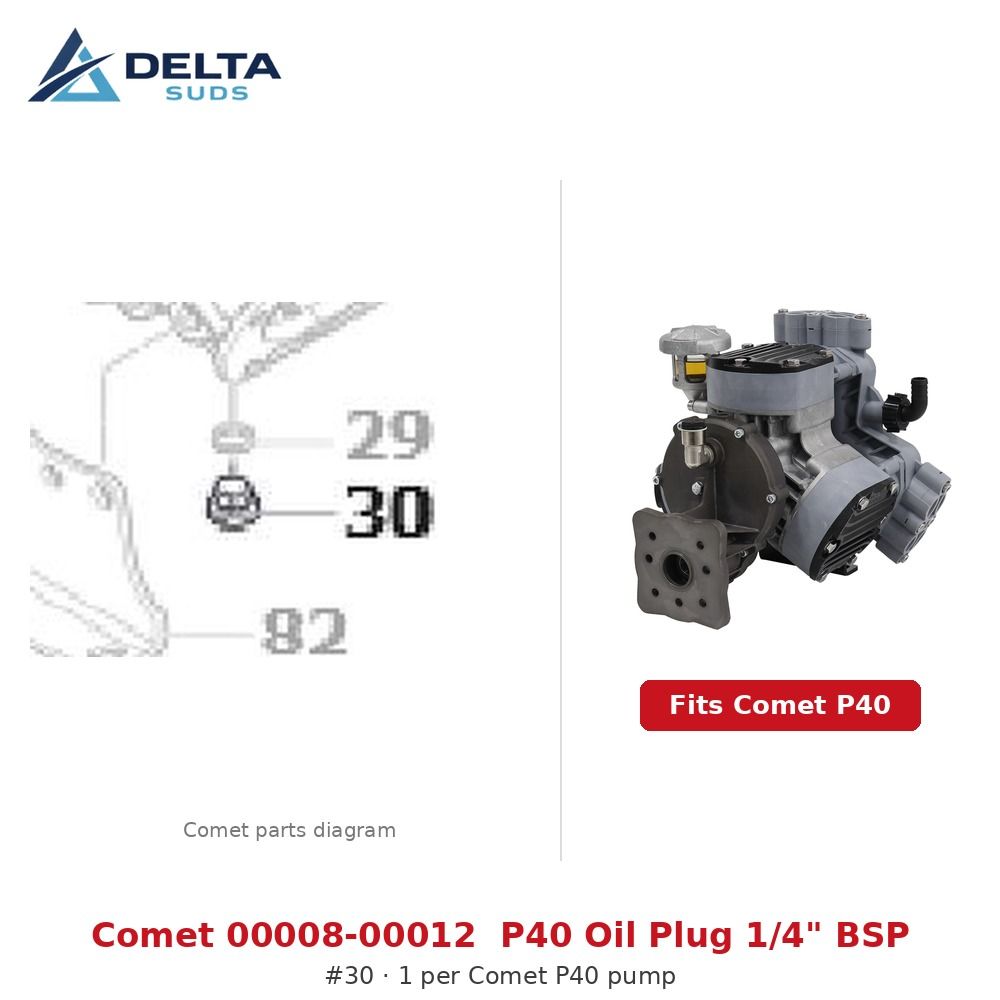 Comet P40 | [30] Oil Plug 1/4" BSP Brass (00008-00012)