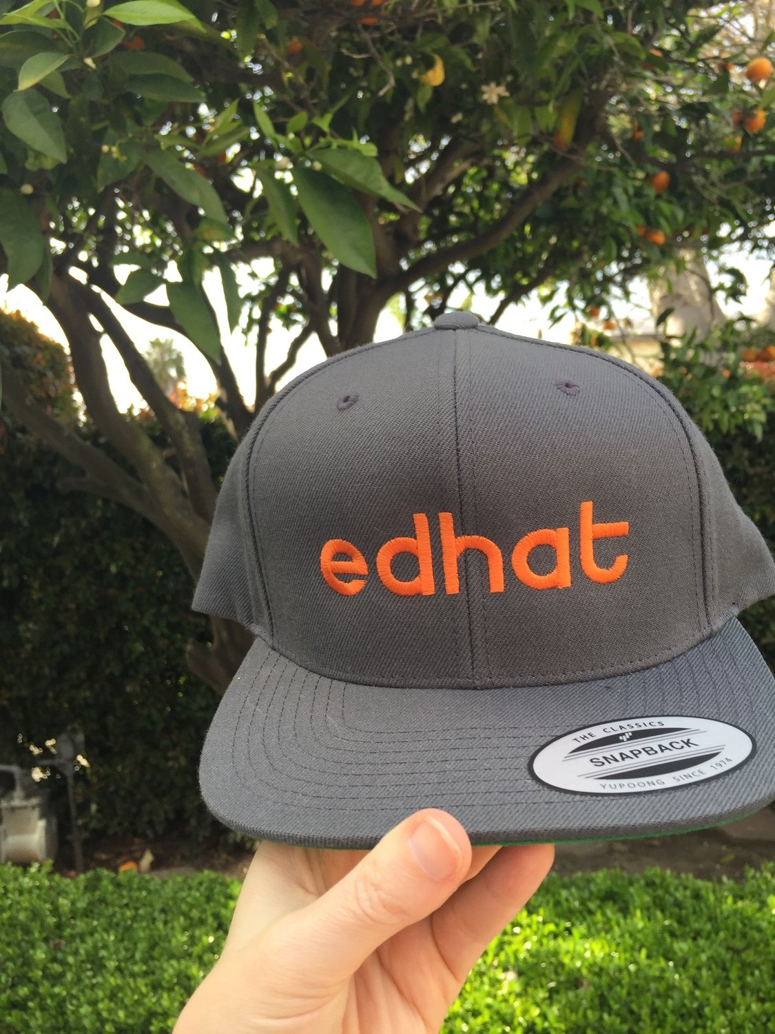 Edhat Snapback Hat