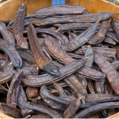 Carob fruit