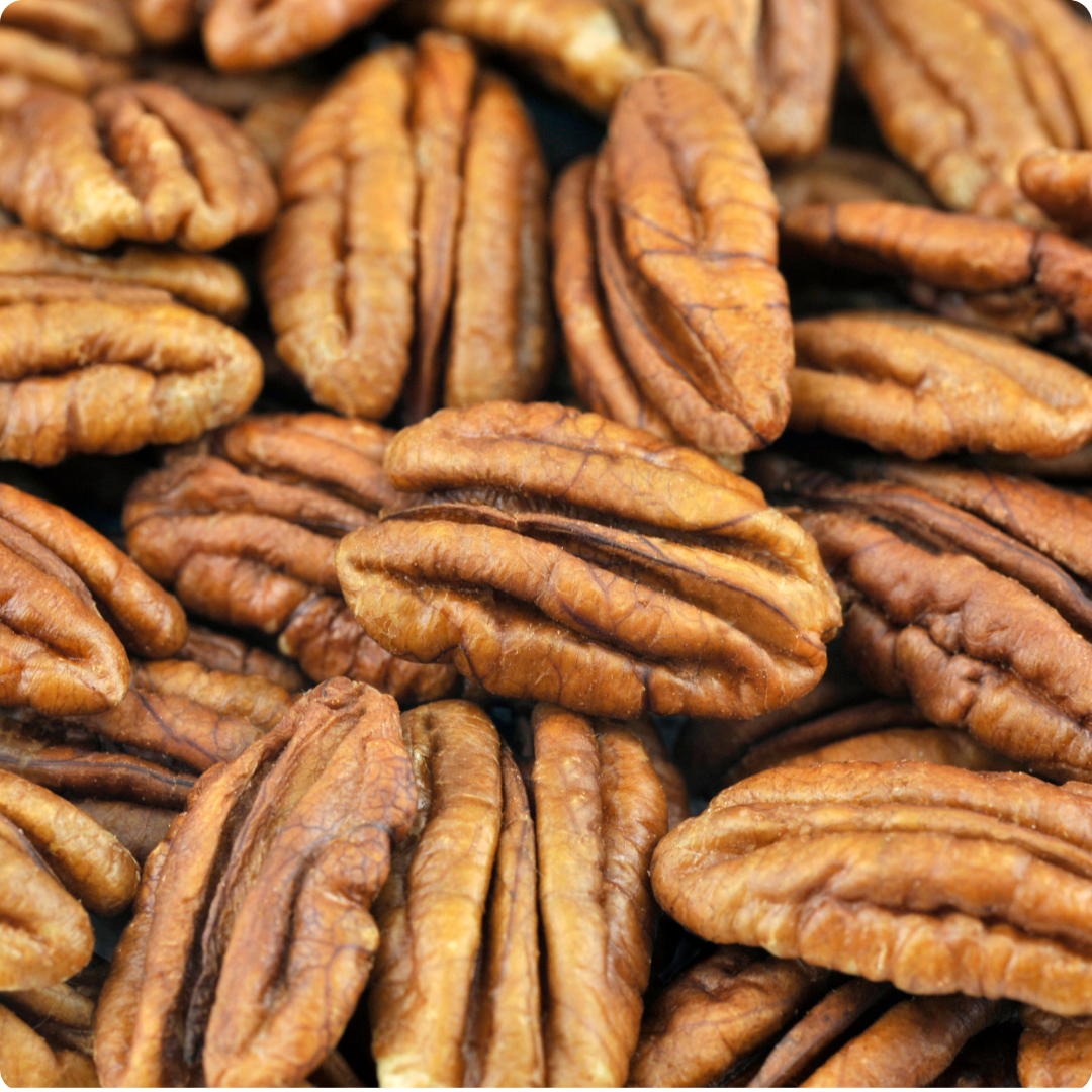 Pecan Nut