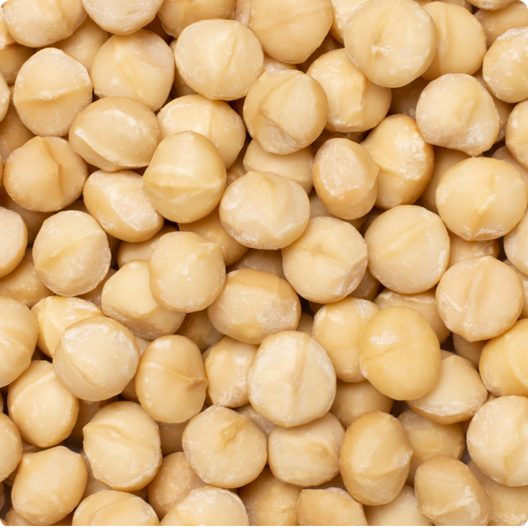Macadamia nut