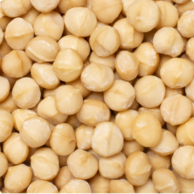 Macadamia nut