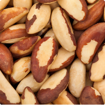 Brazil Nut