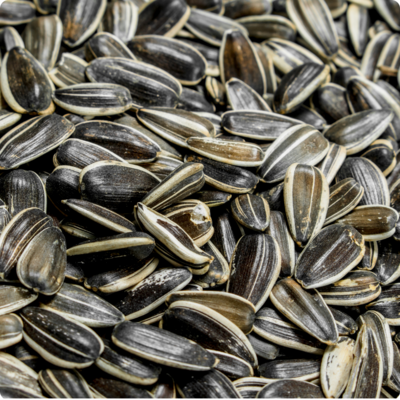 Roasted Unsalted Sunflower Seeds