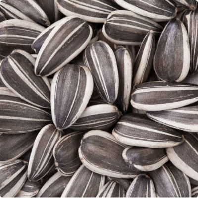 Raw Sunflower Seeds
