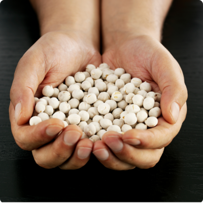 White Chickpeas