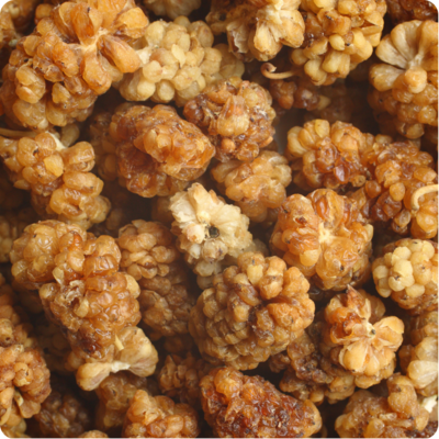 Dry Mulberry