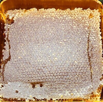 Torosdagı Karakovan Honey