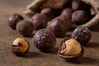 Hazelnut