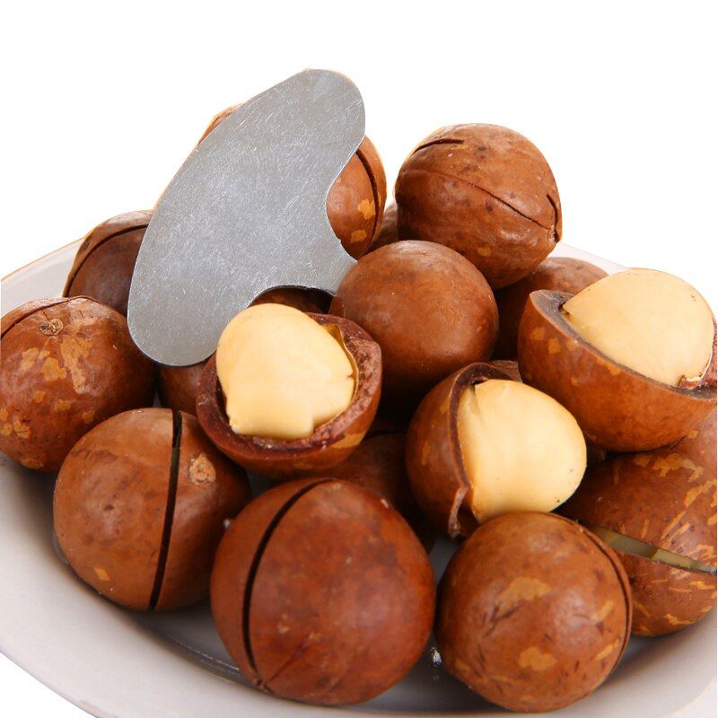 Macadamia Noten