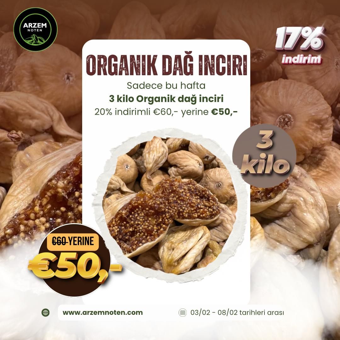 Organiz Dağ İnciri