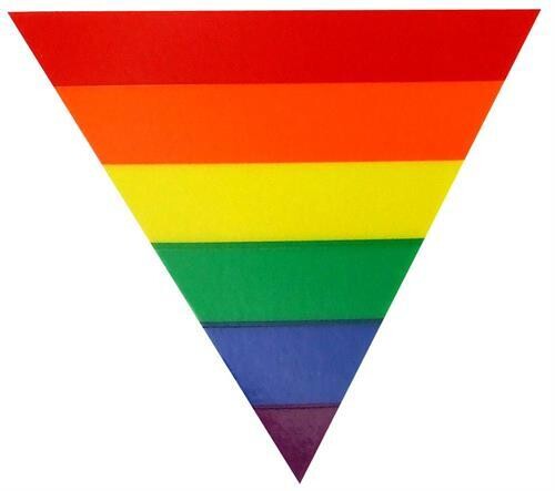 RAINBOW TRIANGLE STATIC CLING