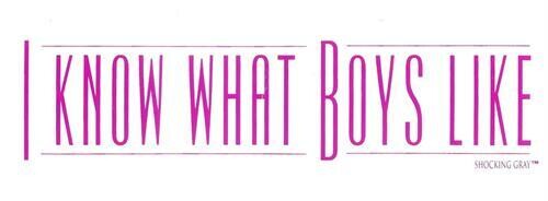 I KNOW WHAT BOYS LIKE BUMPER STICKER