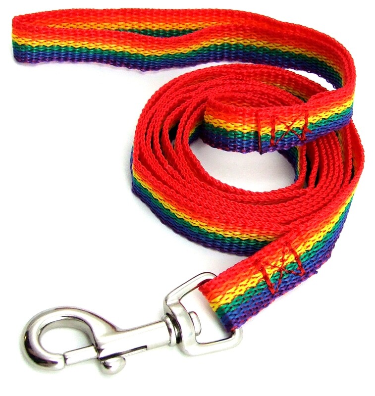 RAINBOW NYLON PET LEASH LG (6'Lx1"W)