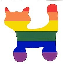 RAINBOW CAT STICKER