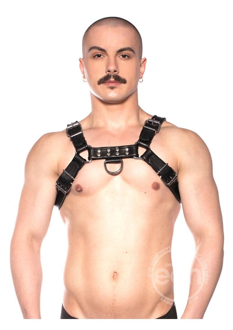 PROWLER RED BULL HARNESS