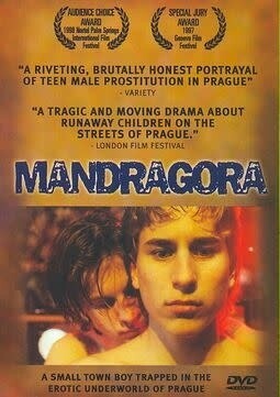 MANDRAGORA