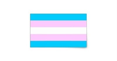 TRANSGENDER FLAG  STICKER