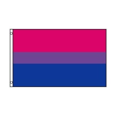 BI FLAG POLYESTER