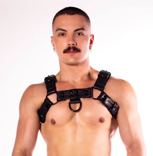 PROWLER RED NOIR HARNESS BLACK