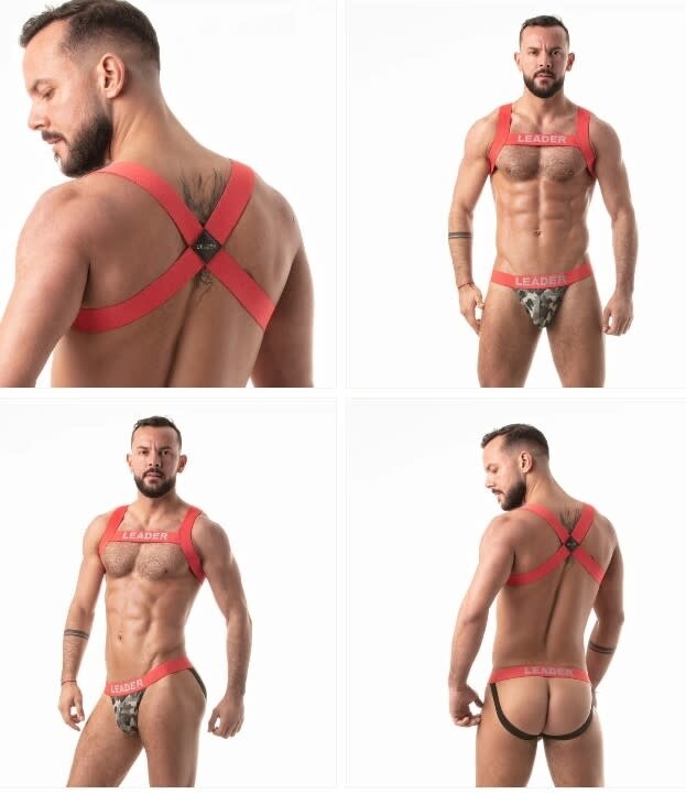 LEADER GI HARNESS 