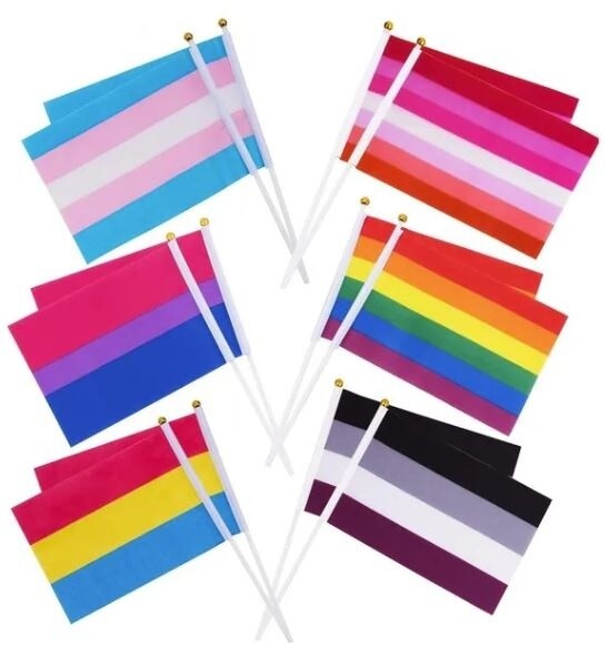 MINI PRIDE FLAGS 5.5" X 8.25"