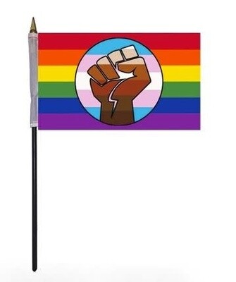 BLM TLM LGBTQ+ PARADE FLAG 4"x6"
