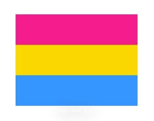 PANSEXUAL POLYESTER FLAG 3' X 5'