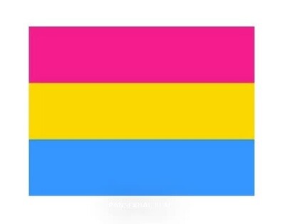 PANSEXUAL POLYESTER FLAG 3' X 5'