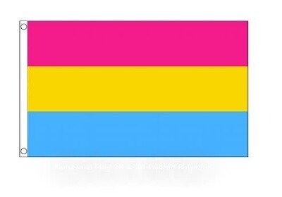 PANSEXUAL POLYESTER FLAG 2' X 3'