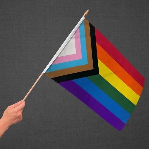 PROGRESS PRIDE PARADE FLAG 12" X 18"