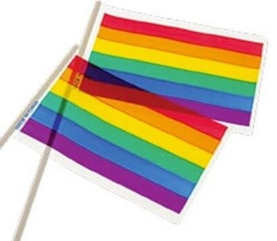 PLASTIC RAINBOW PARADE FLAG 4"x6"
