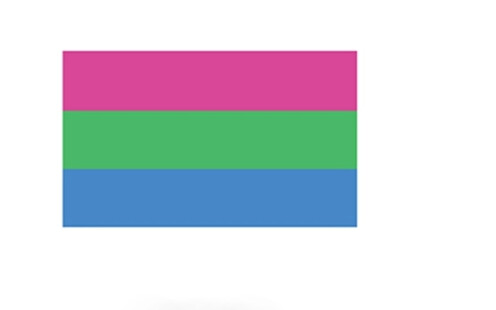 POLYSEXUAL STICKER