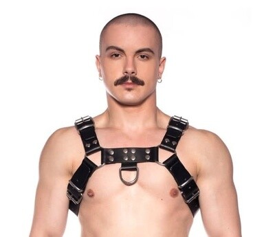 PROWLER RED BUTCH HARNESS BLACK/SILVER M