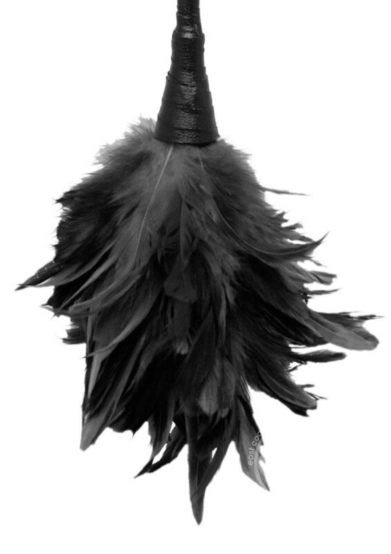 FETISH FANTASY FRISKY FEATHER DUSTER 14" BLACK