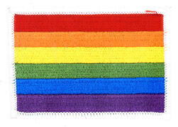 LARGE RAINBOW FLAG  PATCH