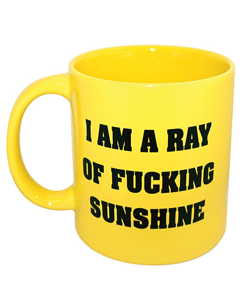 I AM A RAY OF FUCKING SUNSHINE MUG 22oz