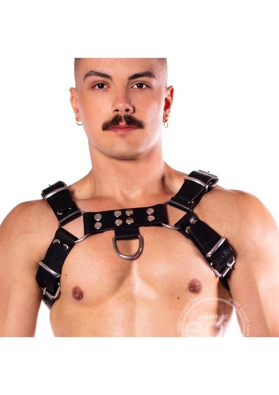 PROWLER RED BUTCH HARNESS PREMIUM BLACK XL