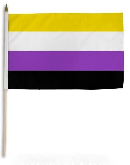 NON-BINARY PARADE FLAG 12" X 18"