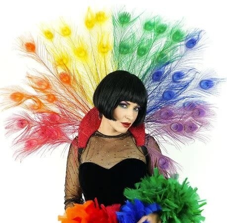 ZUCKER MAJESTIC RAINBOW PEACOCK COLLAR HEADDRESS