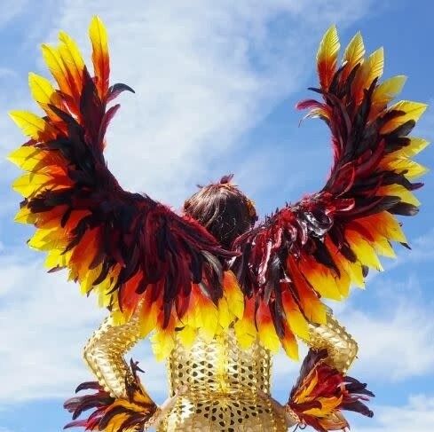 ZUCKER PHOENIX FIREBIRD FEATHER WINGS