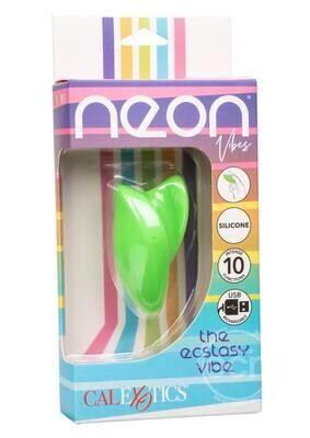 NEON VIBES THE ECSTASY VIBE NEON VIBES THE ECSTASY VIBE